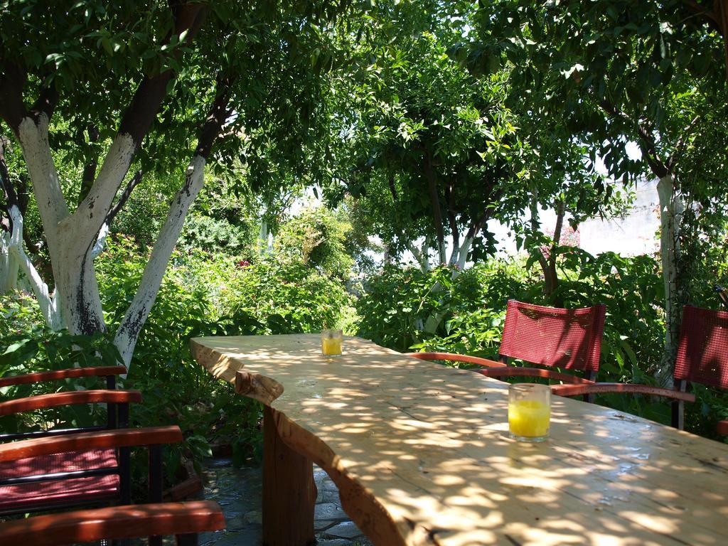 Εlegant Villa Liakos Pigi  Exterior photo